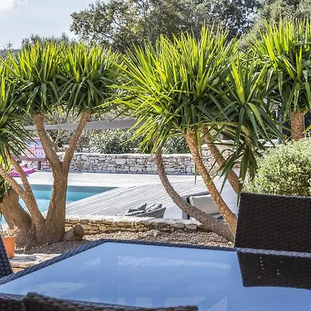 Holiday home L'albitru *