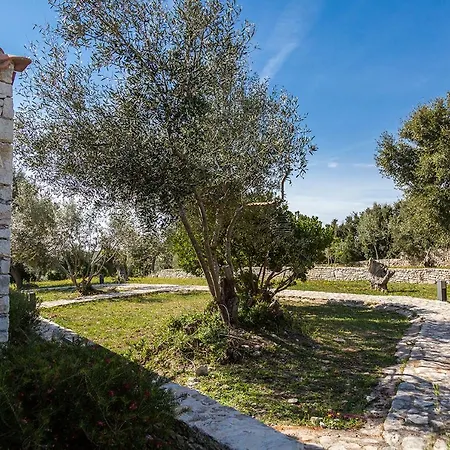 L'albitru Holiday home *