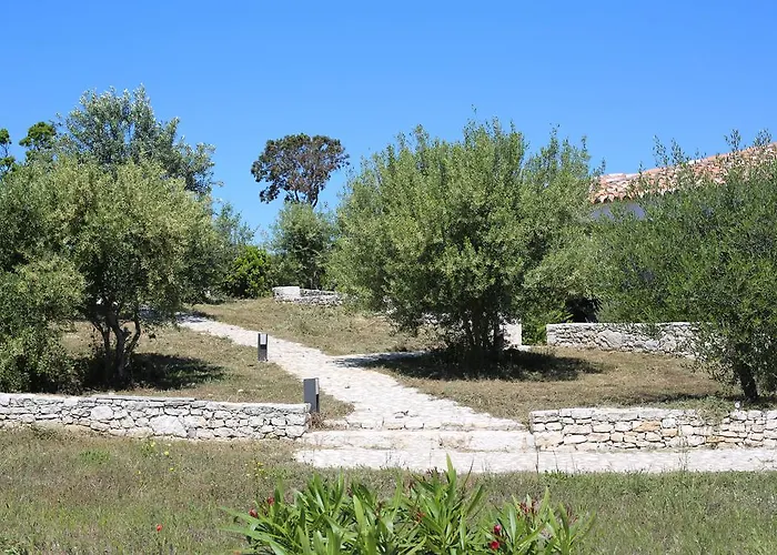 L'albitru