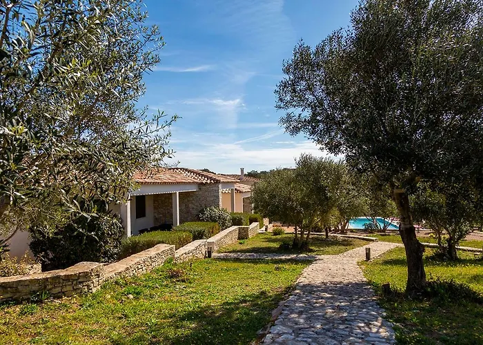 Holiday home L'albitru