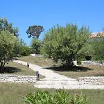 L'albitru