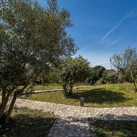 拉尔比特鲁旅馆 博尼法乔