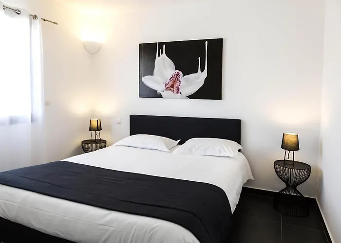 L'albitru * Bonifacio