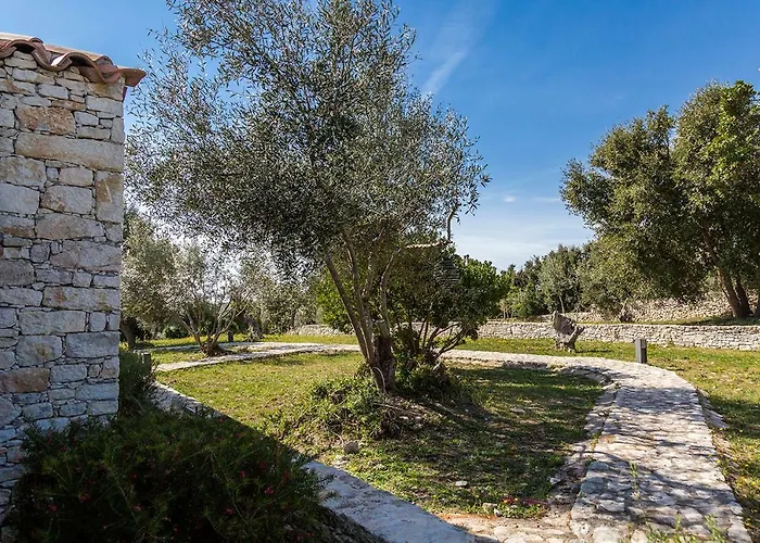 L'albitru Holiday home *