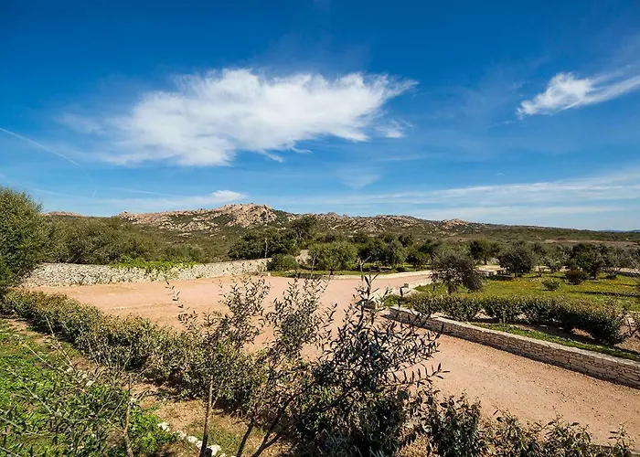 L'albitru Bonifacio (Corsica)